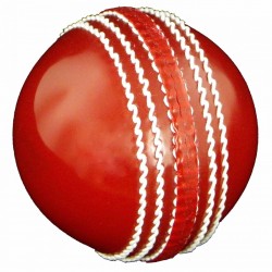 Cricket Ball